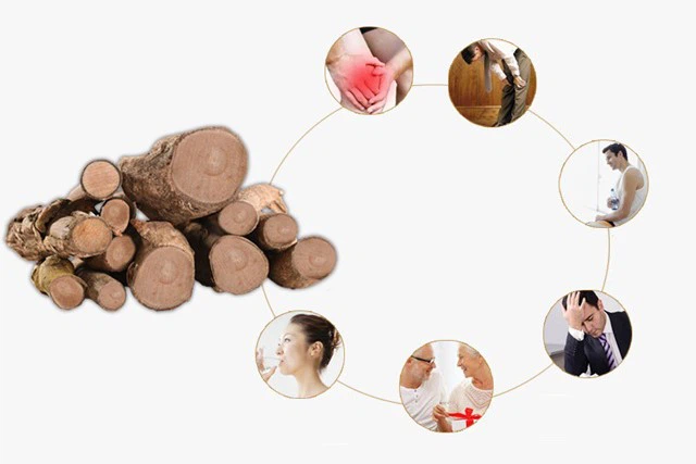 Best Tongkat Ali Supplement Best Tongkat Ali Supplement